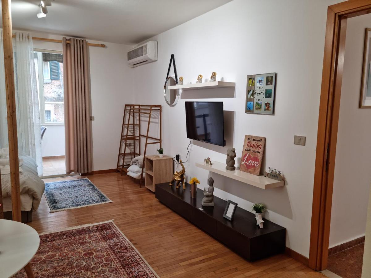 Apartment New Lovely Full Of Light Ap In Tirana